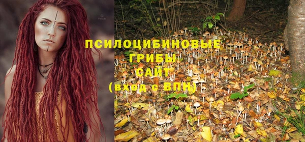 таблы Новокубанск