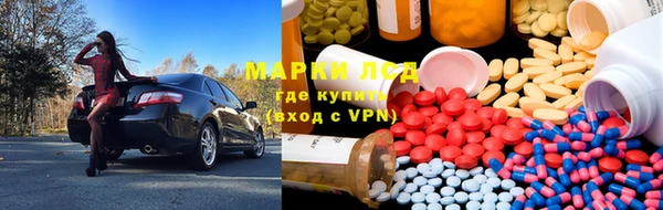 мяу мяу мука Новодвинск