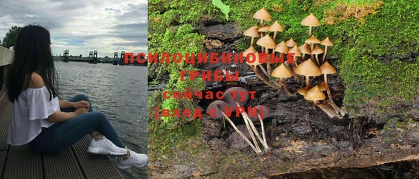 мяу мяу мука Новодвинск