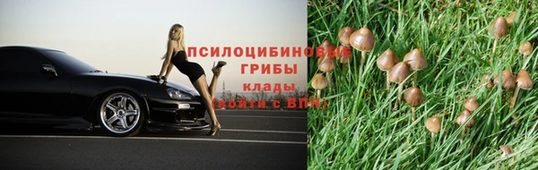мяу мяу мука Новодвинск